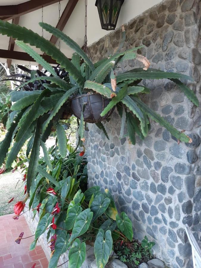 Finca Paraiso Calima Exteriör bild